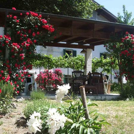 Casa Di Alfredo B&B - Citr9039 Mioglia Eksteriør bilde