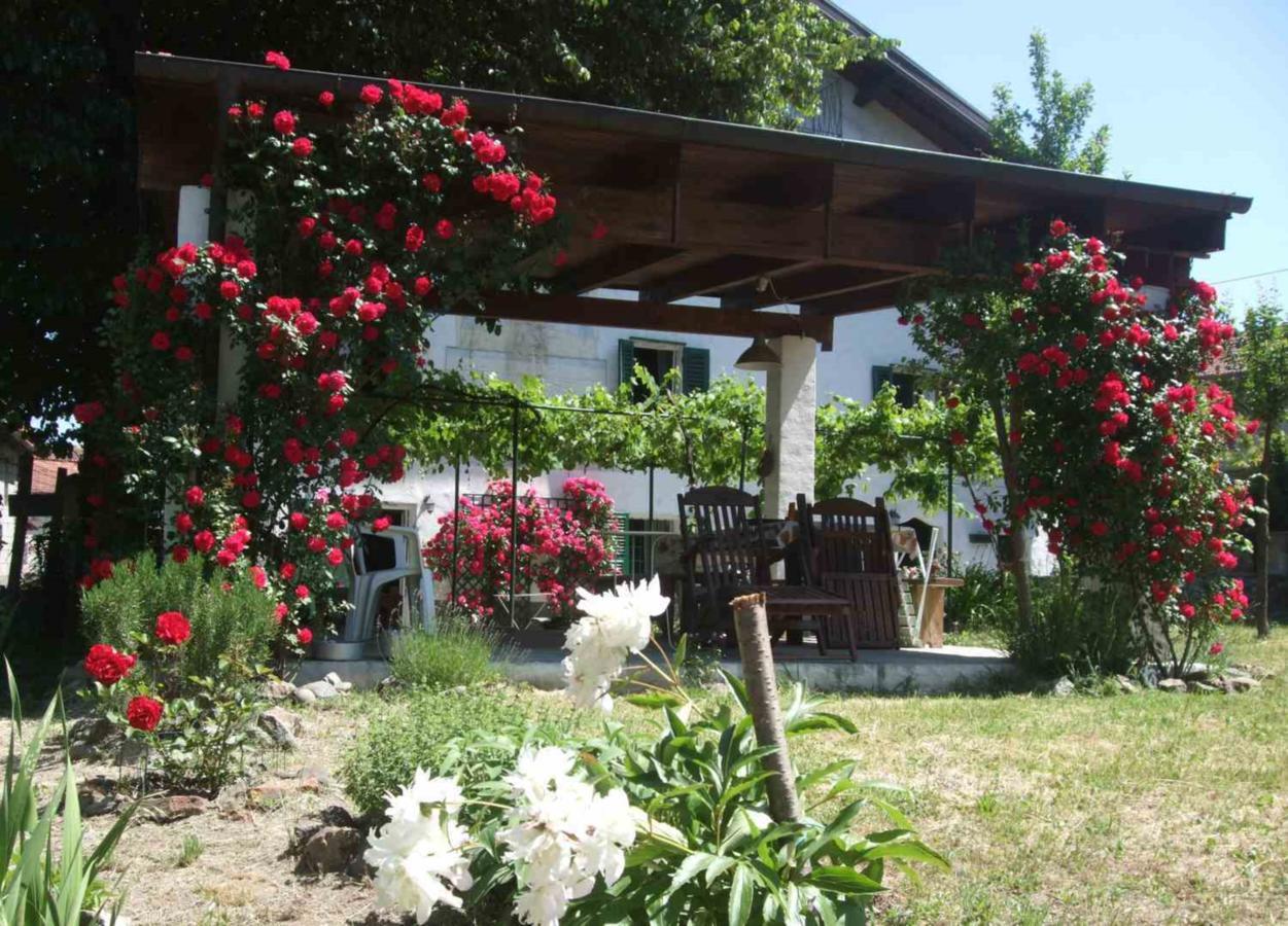 Casa Di Alfredo B&B - Citr9039 Mioglia Eksteriør bilde